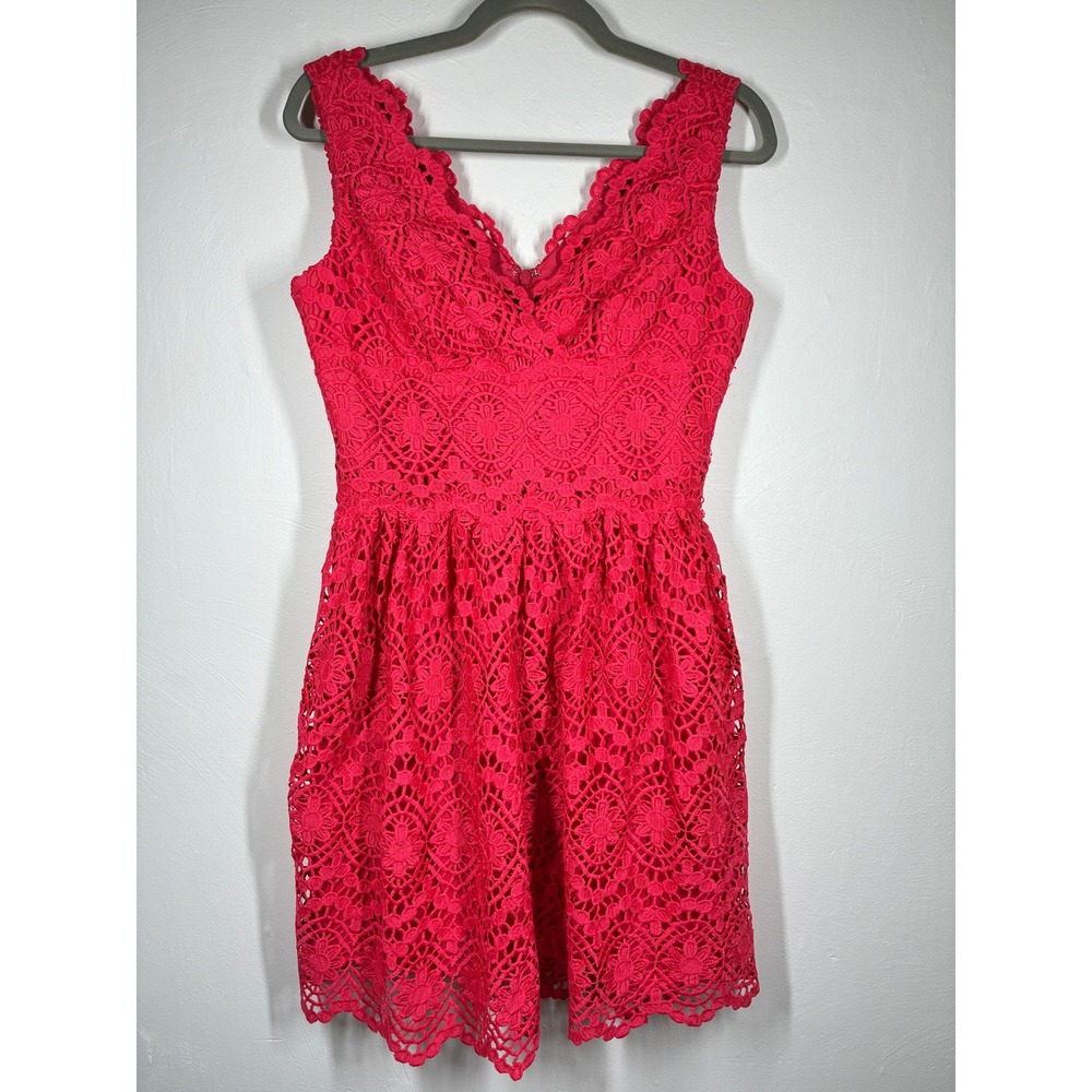 Adrianna‎ Papell Lace V Neck Fit Flare Dress Pink 6P Dainty Feminine Romantic